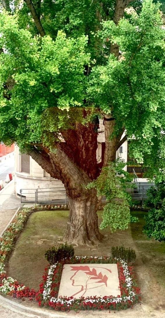 Ravenna Suite Luaran gambar